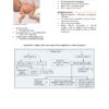 WhatsApp Image 2026-08-09 at 13.07.29 (4) Paediatric Neurology