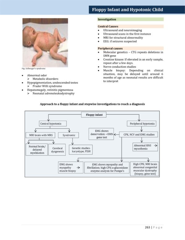 WhatsApp Image 2026-08-09 at 13.07.29 (4) Paediatric Neurology